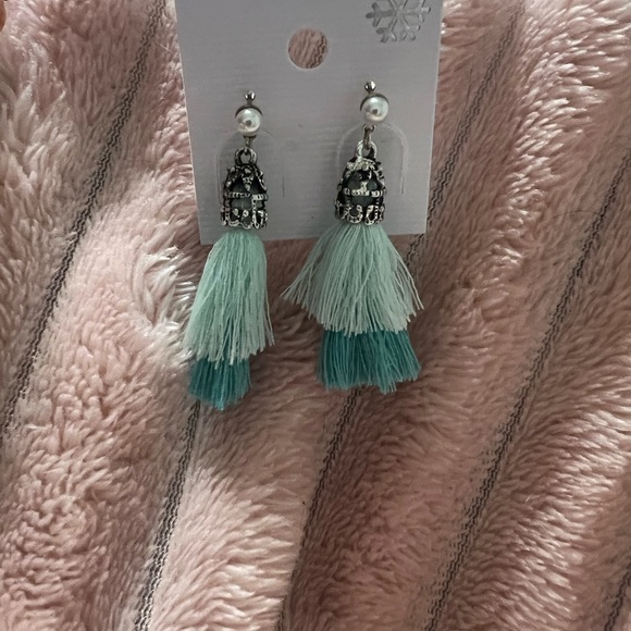 Elegant Mint and Teal Tassel Earrings - Picture 4 of 4